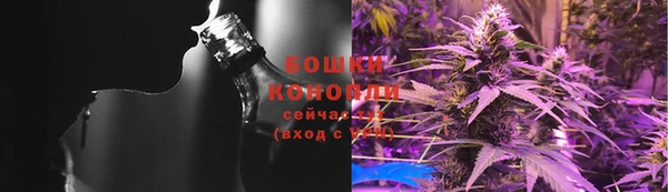 Альфа ПВП Новозыбков