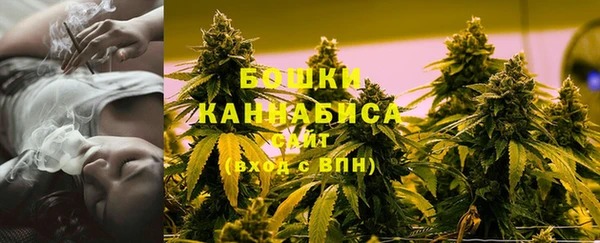 Альфа ПВП Новозыбков