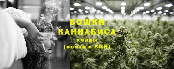 Альфа ПВП Новозыбков