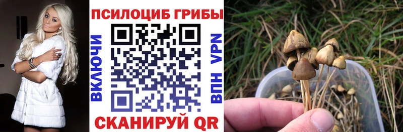 Галлюциногенные грибы мухоморы  хочу наркоту  Нахабино 